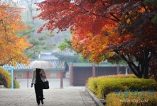 고궁과 왕릉에서 느끼는 가을의 정취