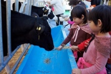 김해 ‘도심 속 목장 나들이’ 문전성시...다양한 체험 활동 진행