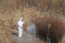 [포토] 한강 주변 비상 AI(조류인플루엔자) 방역 시작