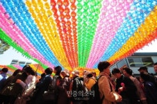 부처님 오신날 기념하는 연등들 [포토]