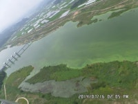 올 여름 ‘녹조’로 물든 4대강 항공사진 공개