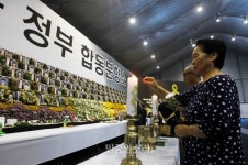 추석 명절 세월호 희생자 추모 분향 [포토]