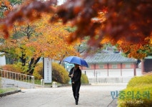 서울 단풍길, 바로 오늘 가면 가장 좋다