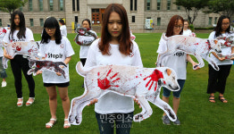 동물들을 지켜주세요[포토]