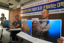 제주 연산호 군락지 위험 대책 마련 촉구[포토]
