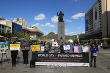 비좁은 공장식 축산을 농장 형태로[포토]