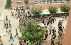 부평 패싸움, 20대 男 8명의 살벌한 주먹질.... 서구연합 vs 인천연합 패싸움도?