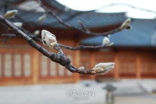 [오늘 날씨] 전국 눈 비...당분간 평년기온 유지