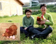 [탐방] 봉선지물버들길에서 만난 착한 달걀 ‘소소란’, 서천 박대수 유정란농장에 가다