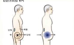 과민성 방광 증상, 살아가는 힘의 원천 이곳의 고장?