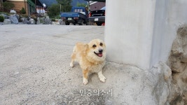 [르포] ‘사드반대’ 위해 뭉친 ‘김천맘’과 노곡리 농민
