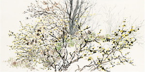 먹으로 담은 자연의 기운생동, 김아영 개인전 ‘봄, 여름, 가을, 겨울- 세월’