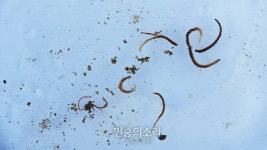 민간급수시설(코오롱아파트)-민간지정 | 4대강사업 후 식수 사용 불가능한 ‘환경부 지정 4급수’ 된 낙동강