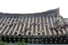 지진으로 떨어진 기와들[포토]