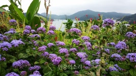 고흥 ‘힐링파크 쑥섬쑥섬’, 전남 1호 민간정원 등록