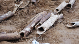 진주 보도연맹원 집단학살, 한국전쟁 당시 군·경에 의한 것으로 확인
