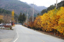 산림청, 부모와 아이 모두 힐링 하는 곳... 어디? 와우
