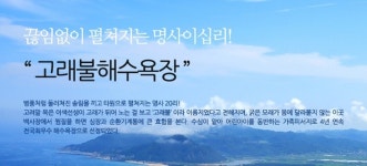 고래불 국민야영장, 고래불 대체 뭐길래? 대박