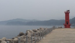 [르포] ‘두 번째 원전 백지화’ 이뤄낸 삼척시민들