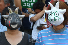 산양이 아파요 케이블카 설치 반대[포토]