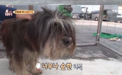 동물농장, 시청자들 눈물 쏙 뺐다.. 무슨 일이길래?