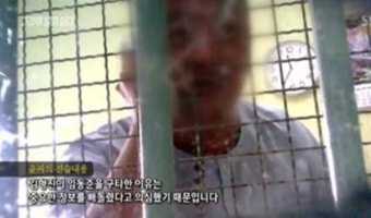 그것이 알고싶다 : 태국 파타야 살인 사건, 새로운 국면으로? '술렁'