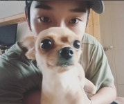 후니아, 반려견 잃어버렸던 사연? ‘화들짝’