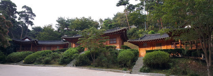 안면도자연휴양림, 아직 늦지 않았다?...예약 관심