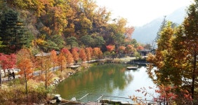 화담숲, 단풍철 본격 들어가는 내일부터 무턱대고 가면 안된다고?