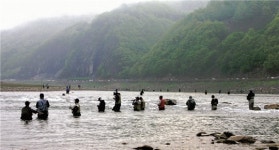 단양군 남한강 낚시대회 풍성