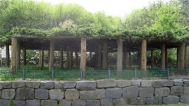 세종시 오봉산 등산로 6월까지 단장