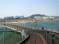 전면개장 D-22일 세종시 중앙호수공원 가 보니…