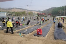 괴산군 문무아파트, 군인가족대상 유기농텃밭농원 체험행사