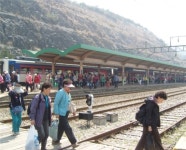 단양군, 단양관광 투어열차 인기