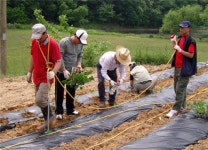 제천시 농촌 일손 돕기에 팔 걷어
