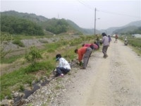 충주 남한강 산책로 손님맞이 준비 한창