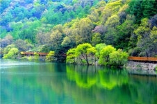 좌구산휴양림, 손님맞이 준비 완료