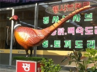 충북의 맛, 스토리텔링 식탁에 오르다 - 충주 수안보 꿩요리