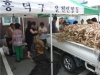 운천신봉동 새마을부녀회, 단양 황토육쪽마늘 직거래