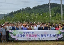 충주관문 중원대로변 무궁화꽃이 피었습니다
