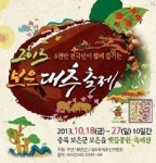 보은대추축제 전용 홈페이지 개설