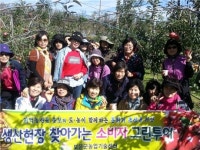 보은군, 소비자 그린투어 인기