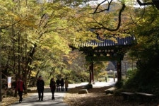 만산홍엽 이룬 천안 광덕산으로 오세요