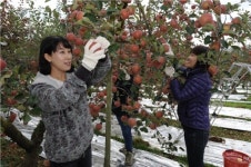 감사원, 음성읍 용산3리서 농촌봉사활동 실시