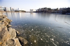 계속되는 한파에 오창호수공원 꽁꽁