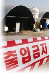 AI 확산일로… 충청·세종 이동중지 명령 조치
