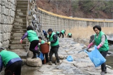 단양 단성면 새마을회 국토대청결운동 스타트