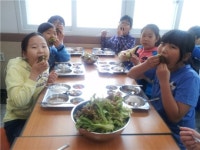 충주엄정초 쌈채소(상추,브로콜리,오이 등) 자율배식의 날