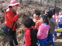 충주 엄정초병설유치원, 생태 숲 체험학습 실시