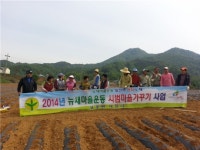 청풍면 대류리 뉴새마을운동 시범마을만들기